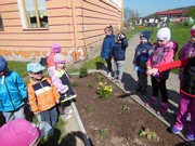 Pečujeme o květinový záhonek